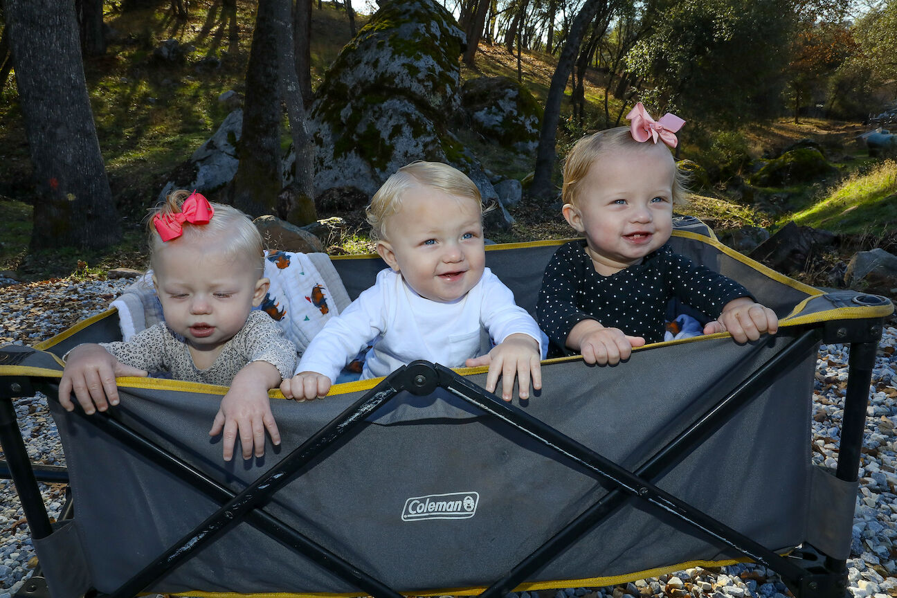 Hart family